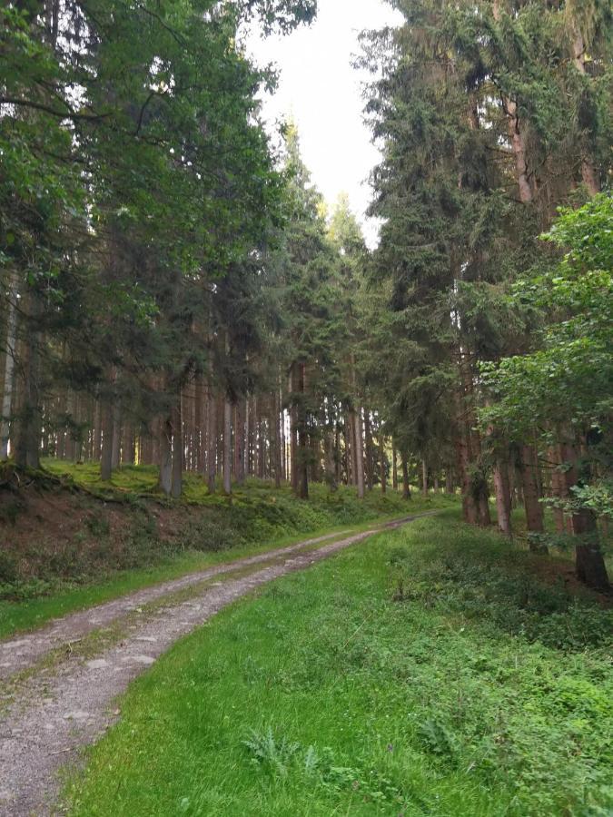 Ferienwohnung Hockertz Habscheid Bagian luar foto
