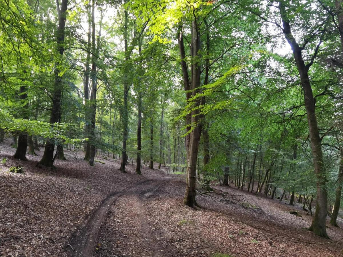 Ferienwohnung Hockertz Habscheid Bagian luar foto